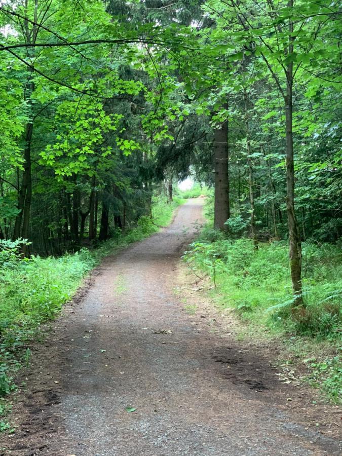 Fuehl Dich Wohl Braunlage Exterior foto